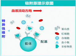 免疫吸附-自身免疫病患者的新希望