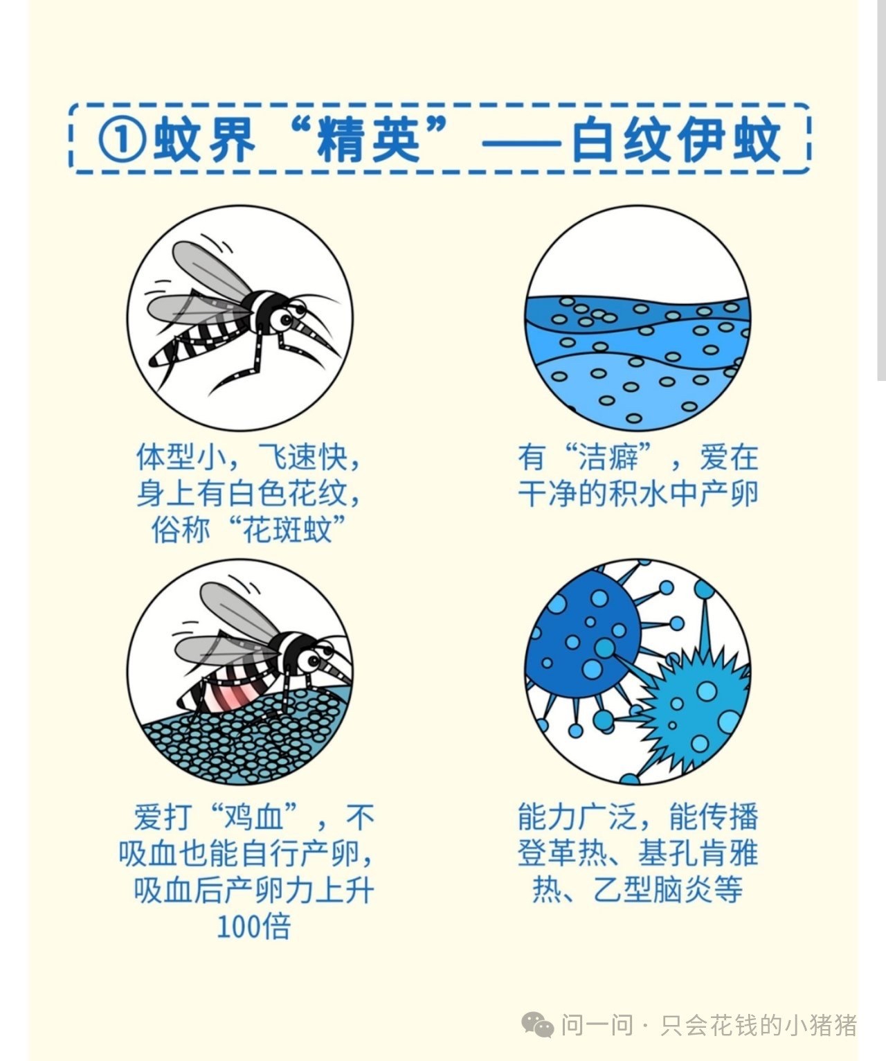 基孔肯雅热是什么，怎么预防？