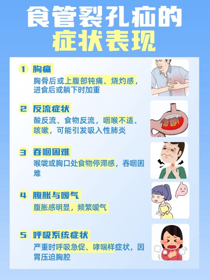 49dd1c1d8a67eddbc55142ce4702488c